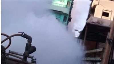 تكثيف أعمال الرش لمقاومة البعوض والحشرات في الدقهلية | صور