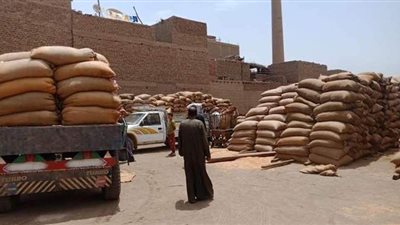 بعد حصد 8 آلاف فدان.. توريد 3329 طن قمح لصوامع وشون أسيوط | صور