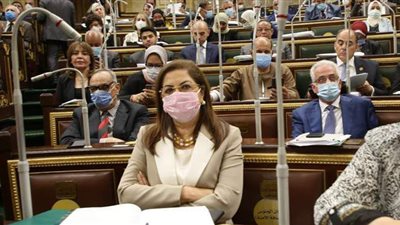 وزيرة التخطيط: 176 مليار جنيه استثمارات لقطاع الإسكان والمياه والصرف