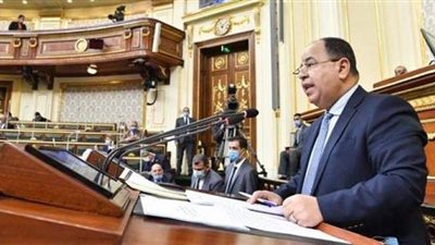 وزير المالية أمام البرلمان: نرتقي بمعيشة المواطنين رغم أزمة كورونا.. ٣٢١ مليار جنيه للدعم.. و٧ مليارات للعلاج على نفقة الدولة