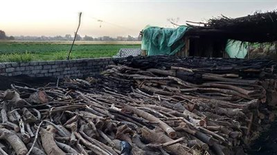 من داخل مكمورة الفحم.. طرق التصنيع والاستخراج.. أبرز الأنواع المستخدمة في الأسواق.. والفرق بين الفاكهة والبلدي | فيديو وصور