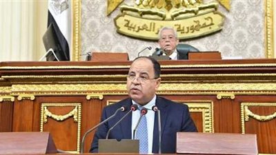 وزير المالية: زيادة الأجور إلى ٣٦١ مليار جنيه في الموازنة الجديدة