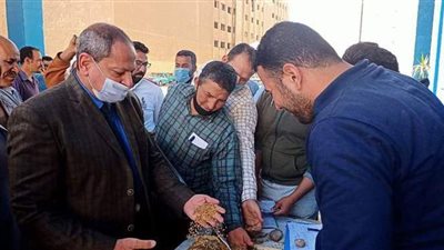محافظ المنيا: توريد 12500 طن قمح للشون والصوامع