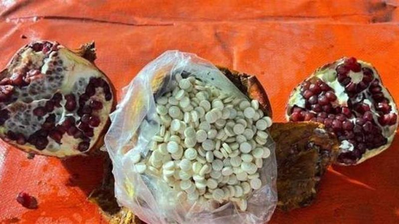 كبتاجون داخل الرمان