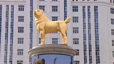 دولة تخصص عطلة رسمية لكلابها