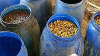 التحفظ على مصنع مخلل دون ترخيص في بولاق الدكرور