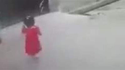 منظر بشع.. كلاب ضالة تستفرد بطفلة وتهاجمها بشراسة أثناء سيرها في الشارع بالعجمي | فيديو