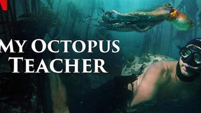 أوسكار 2021..My Octopus Teacher يحصد جائزة أفضل فيلم وثائقي
