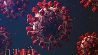 القليوبية تسجل 73 حالة إصابة جديدة بكورونا و9 وفيات.. وطوارئ بالمستشفيات