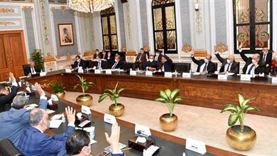 اللجنة العامة بالبرلمان توافق على إعلان حالة الطوارئ لمدة 3 أشهر