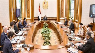 تكليفات رئاسية جديدة للحكومة بشأن تنمية سيناء | فيديو