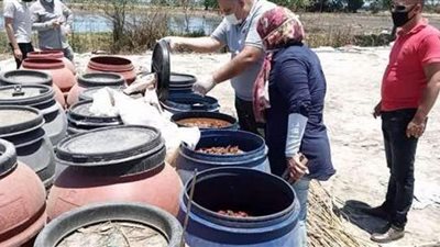 حملة أمنية تصادر 21 طن مخللات فاسدة و10 أطنان دقيق مدعم فى الجيزة