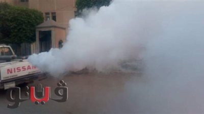 تكثيف حملات للقضاء على الحشرات ناقلات الأمراض بفاقوس