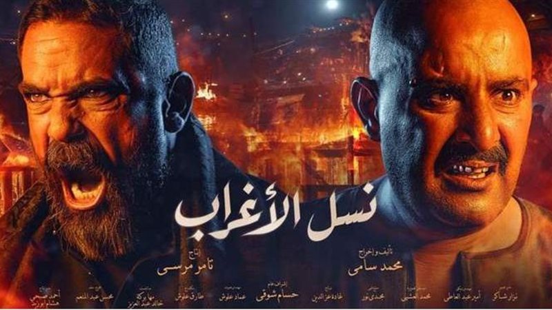 أمير كرارة وأحمد