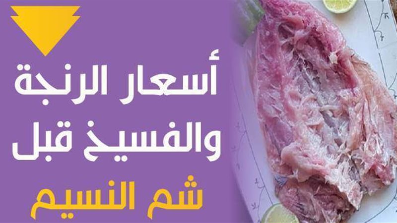 أسعار الرنجة والفسيخ