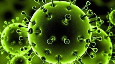 التأثيرات السلبية لموجات كورونا على قطاع التأمين وخطة مواجهتها