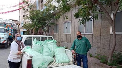 ضبط ٨ شكاير دقيق بلدى بمخابز شامية بالإسكندرية