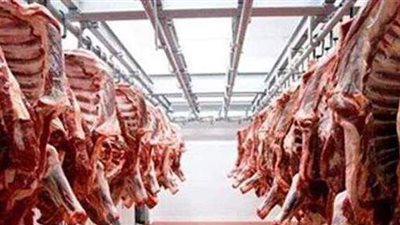 أسعار اللحوم اليوم الأربعاء 28 -4 -2021 بالمنيا