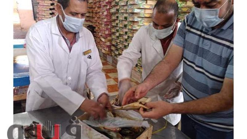 الواقعة