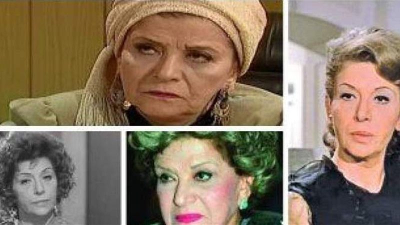 الفنانة سناء جميل