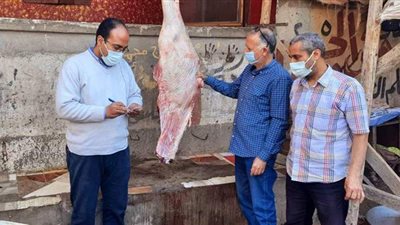 ضبط لحوم فاسدة وخبز غير مطابق للمواصفات في حملة بالدقهلية | صور