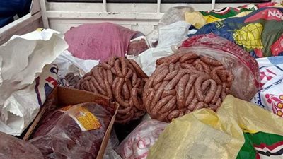 ضبط 21 طن لحوم وأسماك فاسدة وتحرير ٦٢ مخالفة بالجيزة | صور