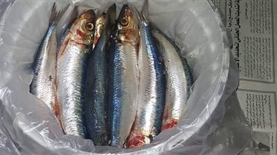 استعدادا لشم النسيم.. في 4 أيام فقط احصلي على سردين مخلل