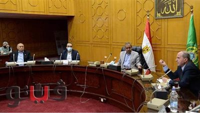 محافظ الإسماعيلية يناقش مشاكل الإنارة العامة | صور