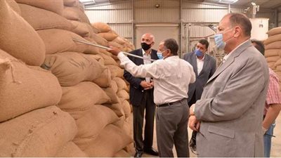 حصاد 3500 فدان قمح وتوريد 7166 طنا لصوامع وشون أسيوط