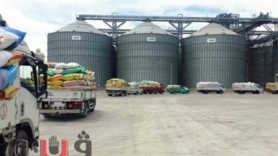 توريد 212 ألف طن قمح بصوامع الشرقية