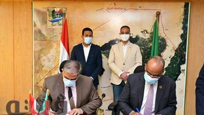 تعاون بين التعليم والصحة والزراعة والتضامن للمساهمة في محو الأمية بالفيوم