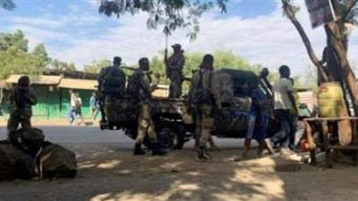 عقب أيام من الاشتباكات.. نمر يهاجم المواطنين بإقليم أمهرة في إثيوبيا