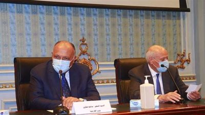 وزير الخارجية: إثيوبيا رفضت بعض الوساطات في حل أزمة سد النهضة