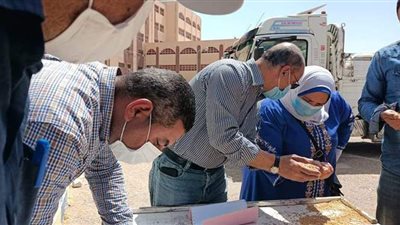 تموين الإسكندرية: استقبال 17 ألف طن أقماح محلية منذ بداية التوريد