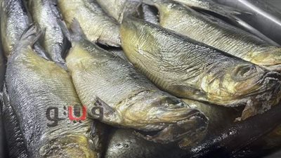 بسبب رمضان و«كورونا».. «شم النسيم» عيد «خالي من الرنجة والفسيخ» | فيديو