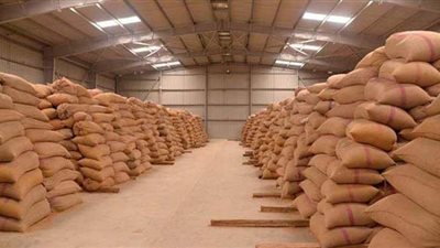 تموين المنيا: توريد 31 ألف طن قمح إلى الصوامع