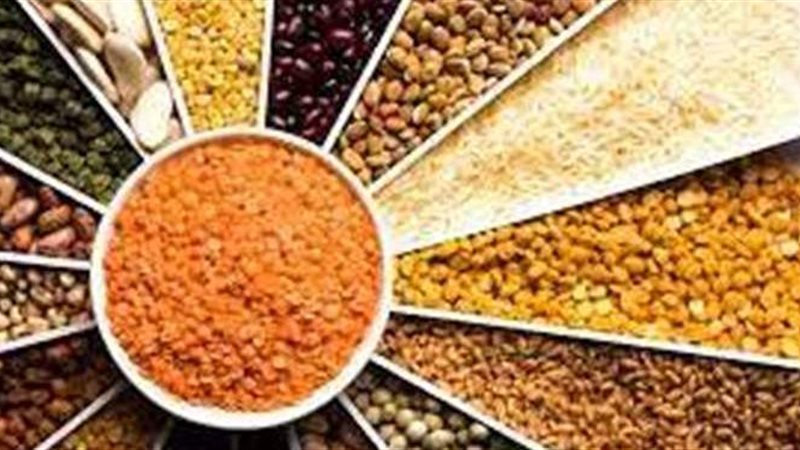 البقوليات