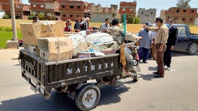 رفع كفاءة الحدائق وتحسين الإنارة بالشوارع  في مراكز الدقهلية | صور