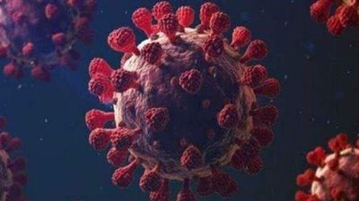 الشرقية تُسجل 23 وفاة بفيروس كورونا المستجد في 48 ساعة