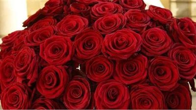 تفسير حلم الورد في المنام وعلاقته بالمال الكثير وتولي المناصب الكبيرة