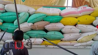 توريد 78427 طن قمح لصوامع وشون كفرالشيخ