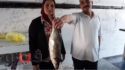 الفسيخ النبراوي يتحدى كورونا.. الإقبال 70% في رمضان والغالبية للأقباط.. واليماني يوجه نصائح التخزين والأكل للمواطنين | فيديو