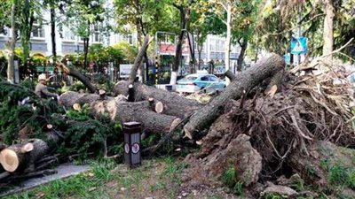 قتلت وأصابت العشرات وأجلت الآلاف.. عواصف عاتية تضرب الصين