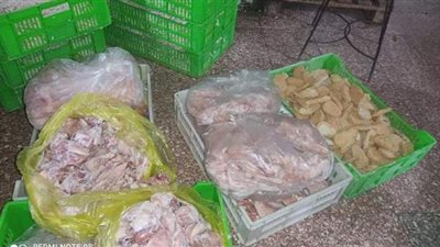 ضبط ١٩ طن لحوم منتهية الصلاحية في الإسماعيلية