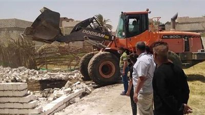 إزالة حالة تعد على الأراضى الزراعية بالمنيا