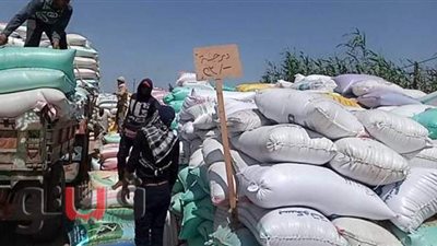 صوامع وشون الشرقية تستقبل 29351 طن قمح