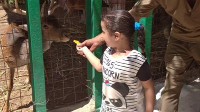 رجائى: إغلاق حدائق الحيوان والأسماك فى أعياد الربيع للحد من كورونا