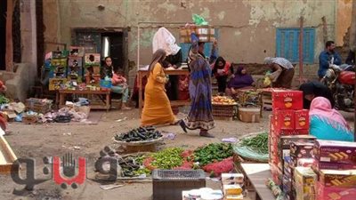 رفع 54 طن قمامة من القرى وتطبيق التباعد باسواق بلبيس