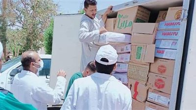 حملات مكثفة لبيطرى الوادى الجديد على المحلات والاسواق