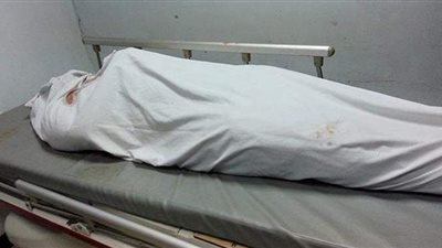 ذبحها بسكين .. القصة الكاملة لقتل سيدة  علي يد زوج نجلتها بالشرقية